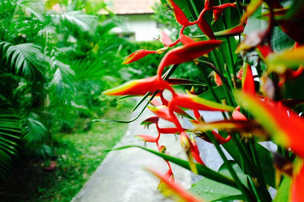 The Nature House Aonang Krabi Thailand Ao Nang Exteriör bild